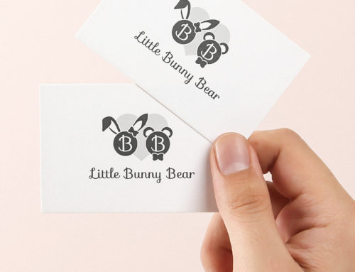 Little Bunny Bear Branding